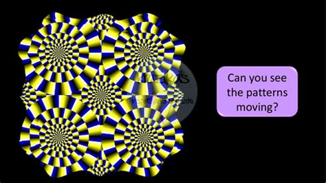 Optical Illusions Teaching Resources