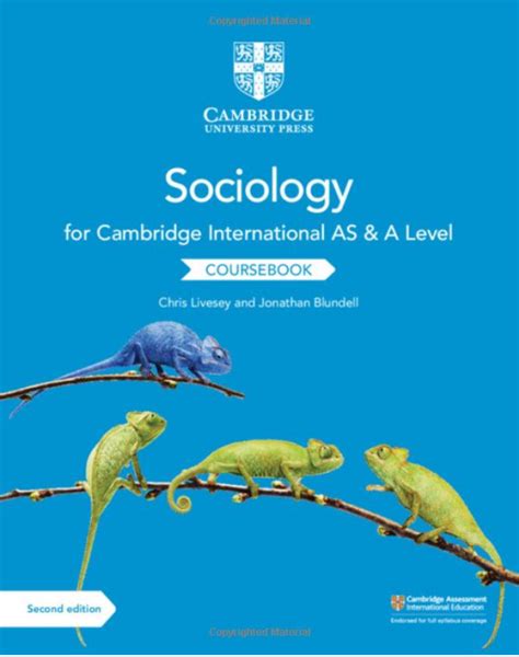 Sociology In Action Th Edition