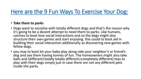 Ppt 9 Fun Ways To Exercise Your Dog Powerpoint Presentation Free