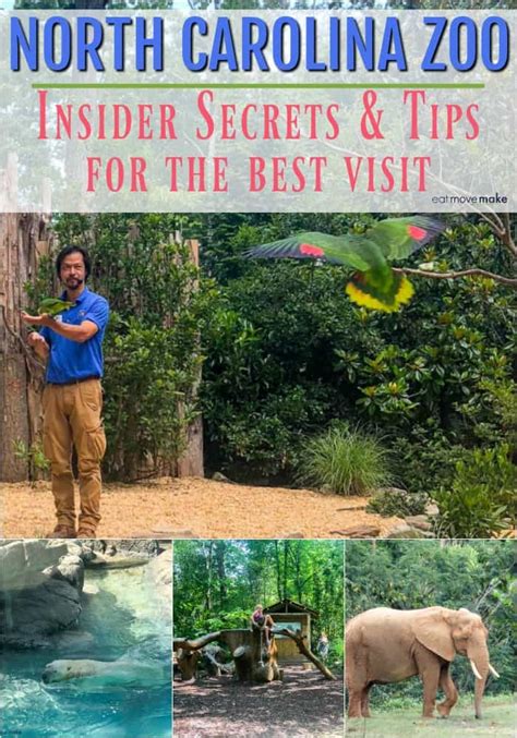 North Carolina Zoo: Insider Secrets and Tips for the Best Visit - Get ...