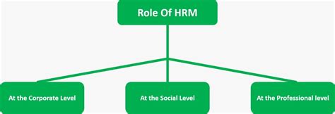 What Are The Roles And Responsibilities Of Hrm