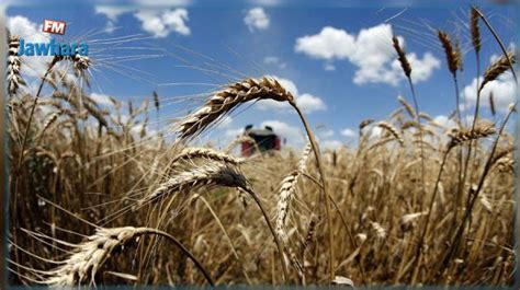 Ministère de l Agriculture La récolte céréalière sannonce bonne