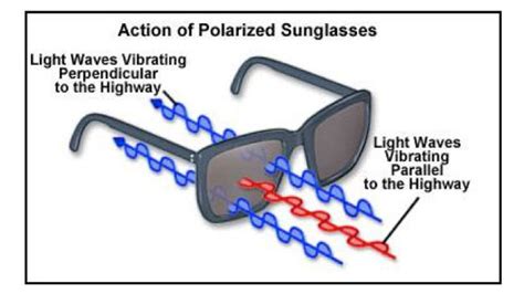 How Do Polarized Sunglasses Work Physics