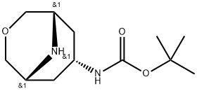 Endo Boc Amino Oxa Aza Bicyclo Nonane H