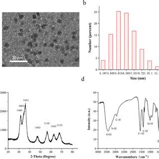 A The Tem Image Of Zno Nps B The Particle Size Distribution Of Zno