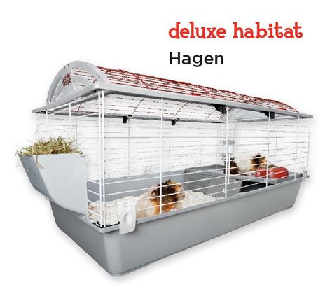 Hagen Living World Deluxe Habitat Large Petco Pets Preschool