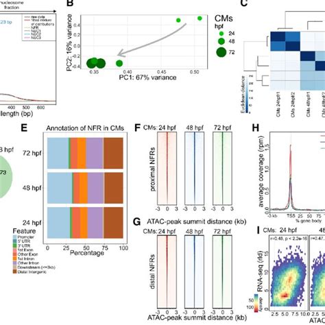 Cross Talk Between Transcriptome And Chromatin Accessibility Profile