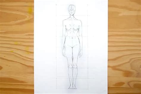 Descubrir más de 73 anatomia del cuerpo humano dibujo mejor camera edu vn