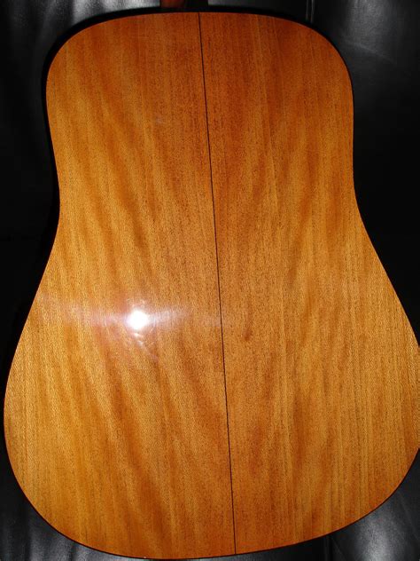 Medullary Rays In Different Wood Species The Unofficial Martin Guitar