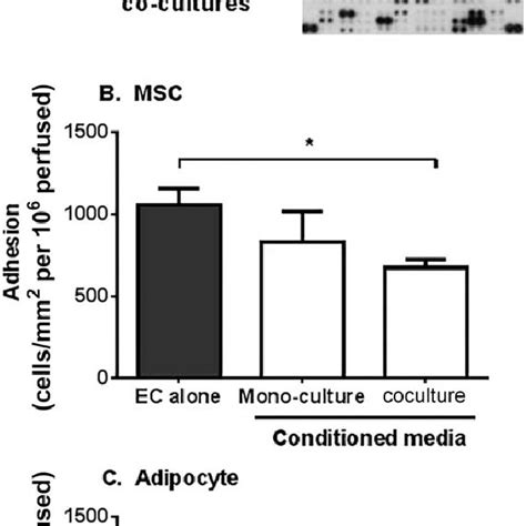 Content And Immunosuppressive Effects Of Conditioned Media From Msc Or