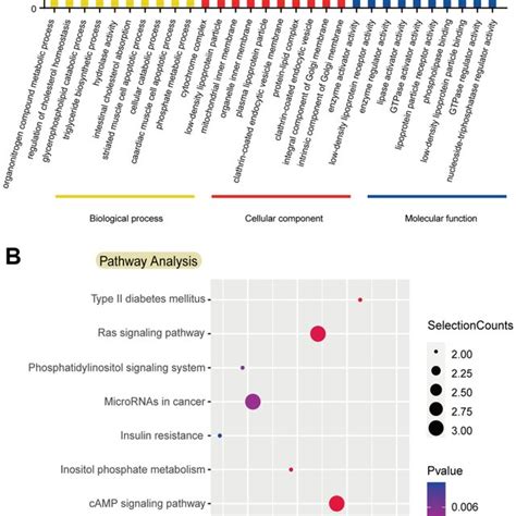 Gene Ontology And Kyoto Encyclopedia Of Genes And Genomes Pathway