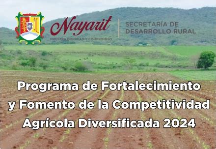 Convocatoria Programa De Fortalecimiento Y Fomento De La Competitividad