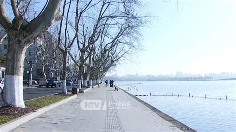 西湖边的特殊“看房团”出发了→鸳鸯树洞生产