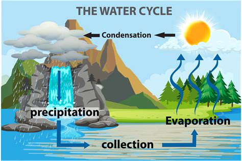 le l'eau cycle illustration infographie vecteur image 21669896 Art ...