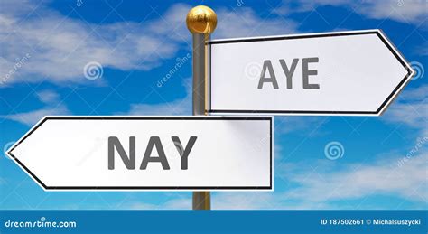 Nay And Aye As Different Choices In Life Pictured As Words Nay Aye