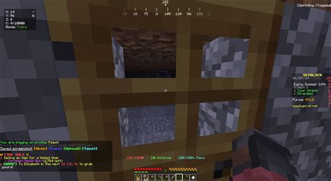 Hardcore Skyblock Stranded 1 Humble Beginnings And Series Rules