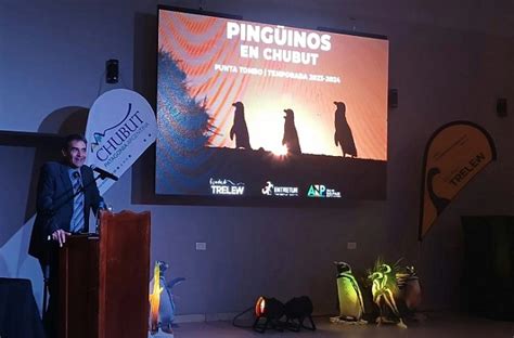 En Trelew se lanzó la Temporada de Pingüinos 2023 2024 que se viene