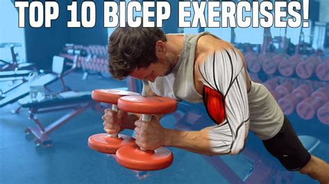 10 Bicep Exercises For Growing Bigger Biceps Youtube