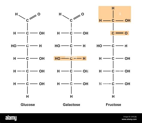 Chemical Illustration Of Monosaccharides Glucose Fructose And