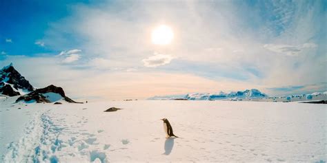 Weather and seasons in Antarctica | HX Hurtigruten Expeditions