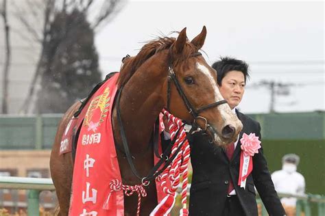 マテンロウスカイとバロンドールがドバイ遠征へ 鞍上はどちらも横山典弘騎手 サンスポzbat