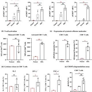 Immunological And Functional Phenotypes Of The Patient With EBV LPD