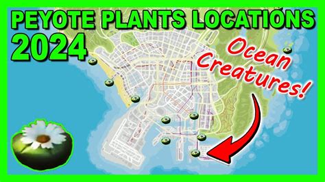 Peyote Plants Locations Map Waterplants Version May 2024 Gta 5 Online Youtube