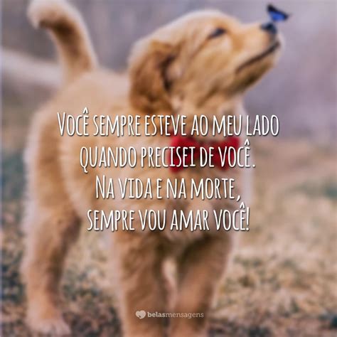 Carta Do Cachorro No Amor FDPLEARN