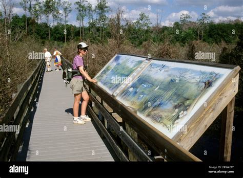 Boardwalk with interpretive board, Six Mile Cypress Slough Preserve ...