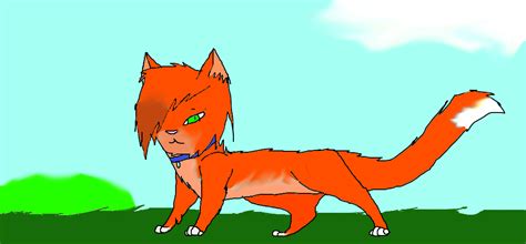 Kittypet Rusty by JoItiks on DeviantArt