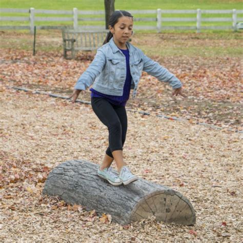 4 Half Log Balance Beam Florida Playgrounds And Shade Inc