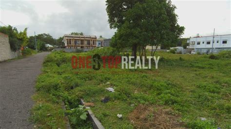 250 Sqm Residential Lot For Sale In Junob Dumaguete City Negros