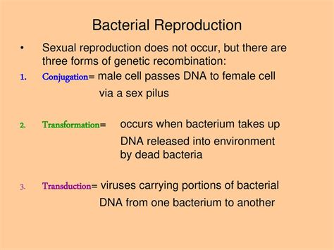 Microbiology Antonie Van Leeuwenhoek Improved Early Microscope Ppt Download