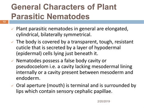 Mushroom Cultivation Ppt