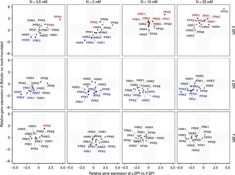 Changes In Expression Of Hexose Kinase Genes During Botrytis Infection