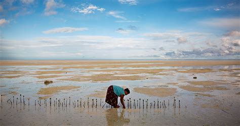 A Remote Pacific Nation Threatened By Rising Seas The New York Times