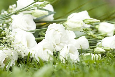 die zeitlose eleganz weisser blumen blumenversand