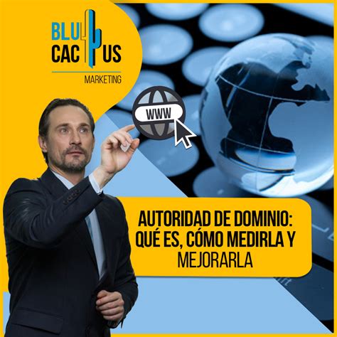 Blucactus Autoridad De Dominio Que Es Como Medirla Y Como Ejorarla