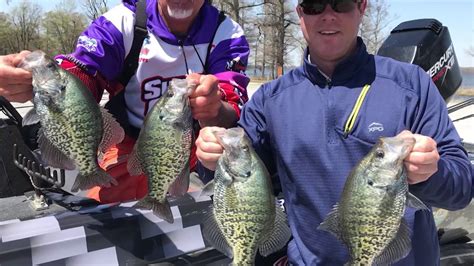 Reelfoot Crappie With Ronnie Capps Youtube