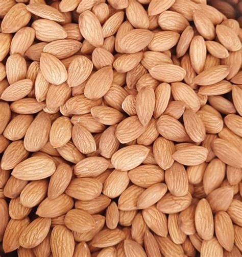 Dry Almond Nuts At Rs 585 Kg Badam Nuts In Ahmedabad ID 24494805133