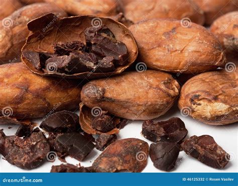 Raw Cocoa Beans Stock Photo Image Of Fruit Delicious 46125332