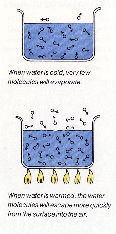 Water Evaporation and Condensation - Ency123