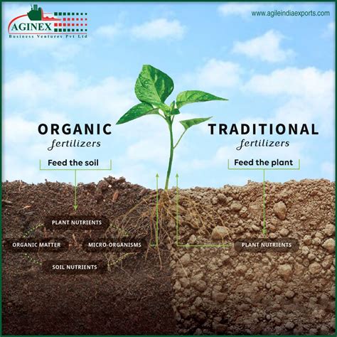 Feed The Soil Vs Feed The Plant In 2021 Organic Compost Organic