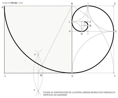 The Golden Section Is Shown In Black And White With An Arrow Pointing