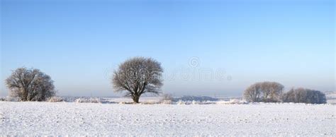 Snow, Trees and Landscape with Scenic, Winter or Wallpaper for Denmark ...