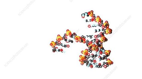 Dna Stock Video Clip K Science Photo Library