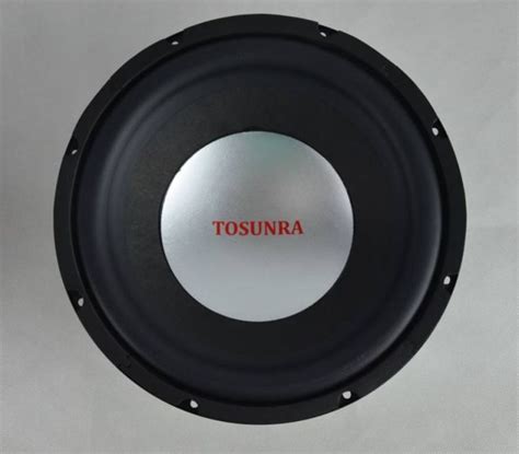 Tosunra Bass Subwoofer Speaker W Ohms Bass Indoor Outdoor