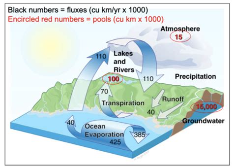 Ecology Unit 5 Exam Flashcards Quizlet