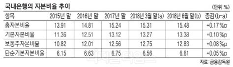 은행·지주사 호실적에 자본비율 동반상승 디지털타임스