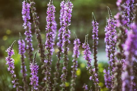 13 Free stock photos for creatives -Blog Graphiste, Sculptures, Photos ...